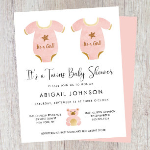 Budget Twin Girls Baby shower