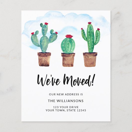 Budget We hebben Cactussen verplaatst (Voorkant)