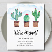 Budget We hebben Cactussen verplaatst