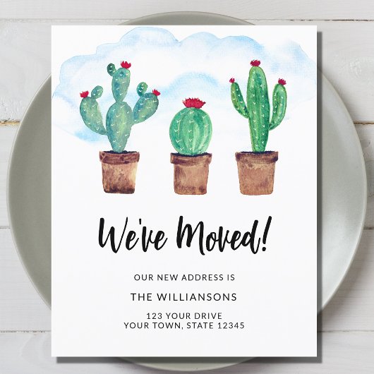 Budget We hebben Cactussen verplaatst