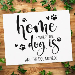 Budget We hebben Schattigee moderne hondenverhuize