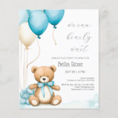 Budget We kunnen de uitnodiging tot Baby shower af (Voorkant)