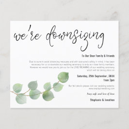 Budget Weddenschap Afbraak Eucalyptus Aankondiging