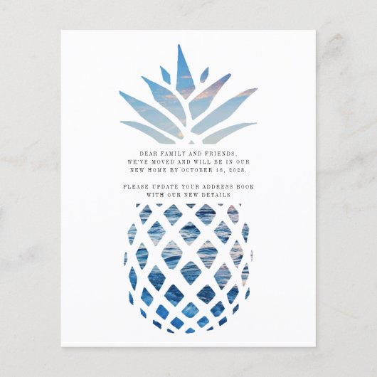 Budget Weve Moved Pineapple Moving Announance (Achterkant)