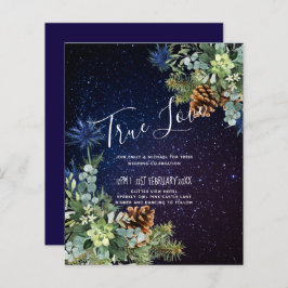 BUDGET Winter Eucalyptus Pine Cones Weddenschap