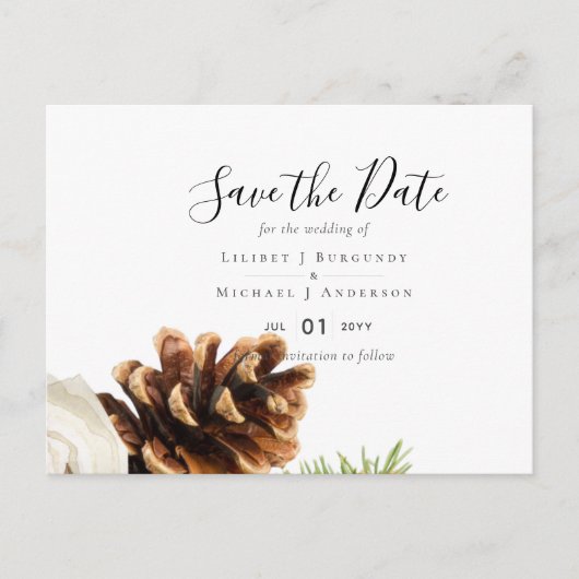 BUDGET Winter Eucalyptus Pine Cones Weddenschap Briefkaart (Voorkant)