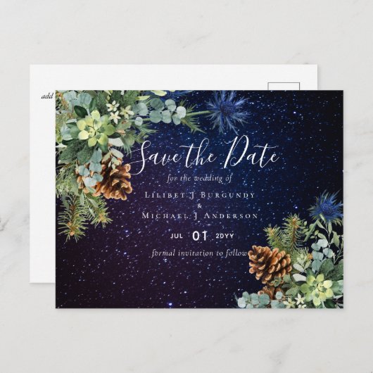 BUDGET Winter Eucalyptus Pine Cones Weddenschap Briefkaart (Voorkant / Achterkant)