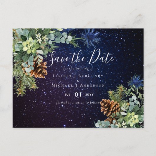 BUDGET Winter Eucalyptus Pine Cones Weddenschap Briefkaart (Voorkant)