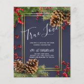 BUDGET Winter Red Berries Pine Cones Weddenschap (Voorkant)