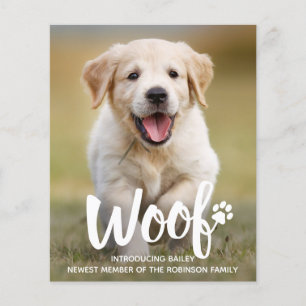 Budget Wof Foto Puppy Dog Nieuwe Aankondiging Pet
