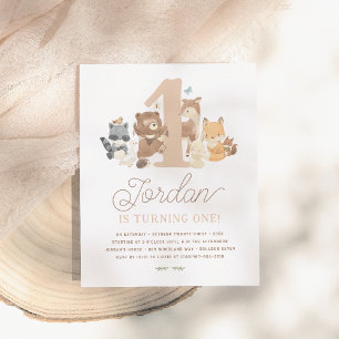 Budget Woodland Animals Eerste Verjaardagsfeest