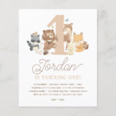 Budget Woodland Animals Eerste Verjaardagsfeest (Voorkant)