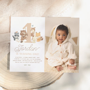 Budget Woodland Animals First Birthday Party Foto