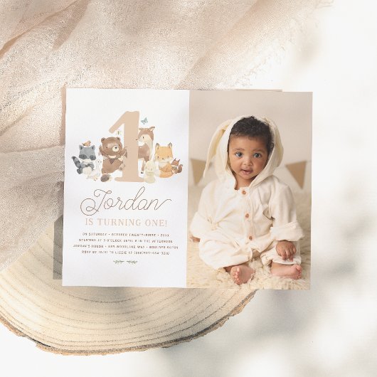 Budget Woodland Animals First Birthday Party Foto