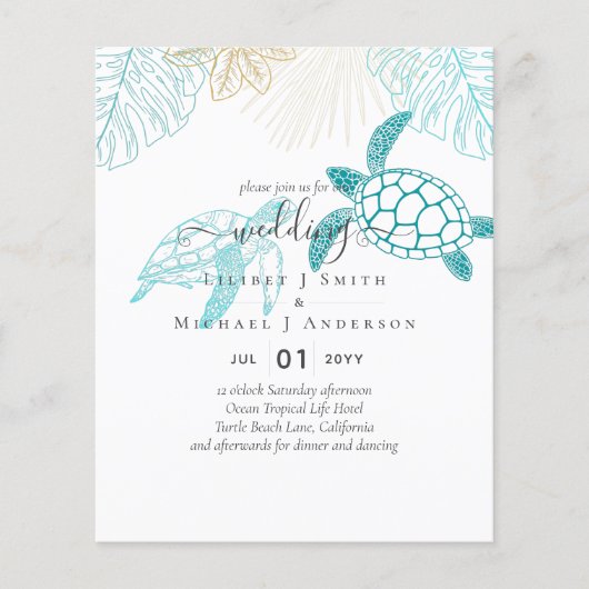 BUDGET Zee Turtles Weddenschappen Moderne Line Art (Voorkant)