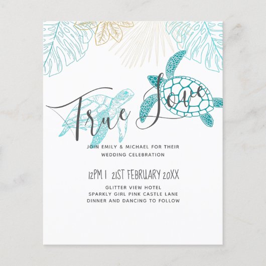 BUDGET Zee Turtles Weddenschappen Moderne Line Art (Voorkant)