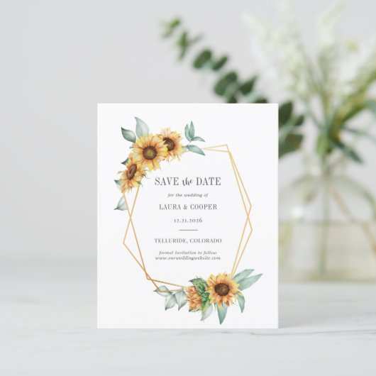 Budget zonnebloempitten Geometrisch sparen de datu (Staand voorkant)