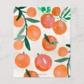 Budgetbezuiniging is op weg naar Oranje Baby showe (Achterkant)