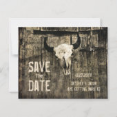 budgettaire bijtende Westerne Koe schedel sparen d (Voorkant)