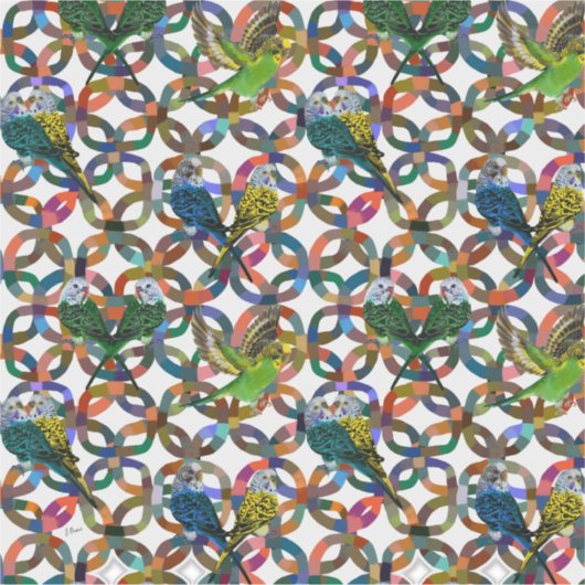 budgetten. sticker (Voorkant)