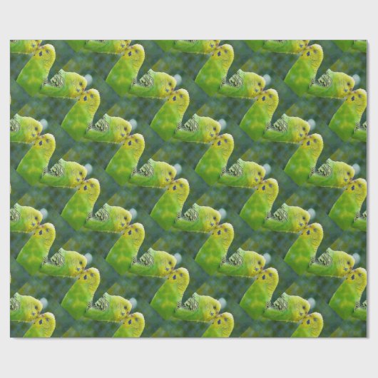Budgie_2015_0604 Cadeaupapier (Vlak)