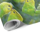Budgie_2015_0604 Cadeaupapier (Rol Hoek)