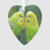 Budgie_2015_0604 Ornament (voorkant)