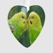 Budgie_2015_0604 Ornament (voorkant)