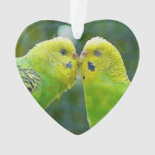 Budgie_2015_0604 Ornament (achterkant)