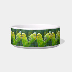 Budgie_2015_0604 Voerbakje