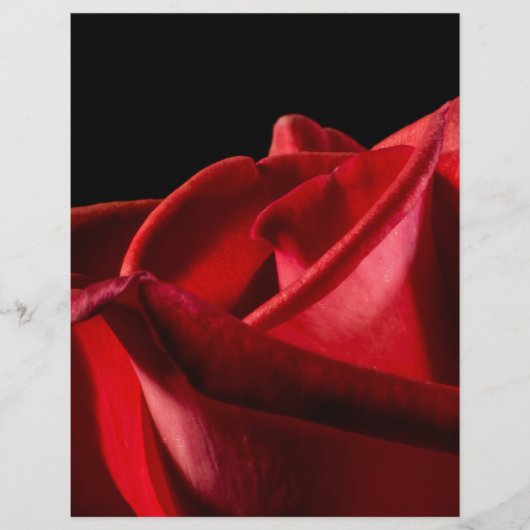 Budgie Bird Flyer (Voorkant)