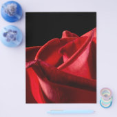 Budgie Bird Flyer (Enkel)