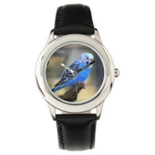 Budgie Bird Horloge