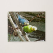 Budgie Bird Legpuzzel (Horizontaal)