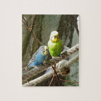 Budgie Bird Legpuzzel
