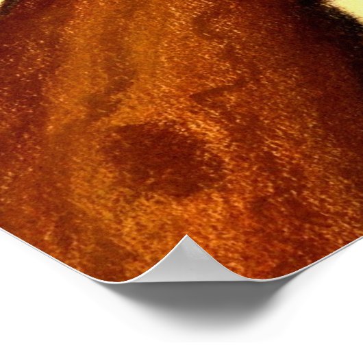 Budgie Bird Portrait Poster (Hoek)