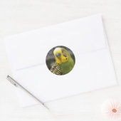 Budgie Bird Ronde Sticker (Envelop)