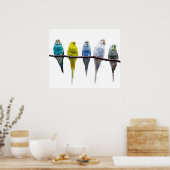 Budgie Birds Poster (Keuken)