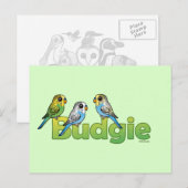 BUDGIE BRIEFKAART (Voorkant / Achterkant)