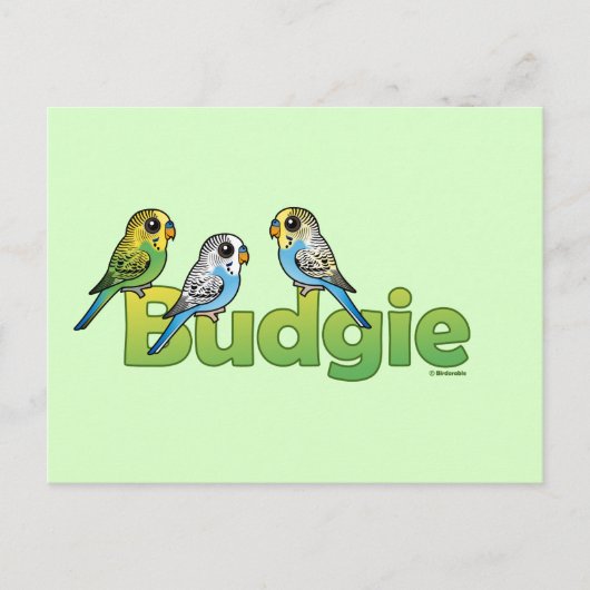 BUDGIE BRIEFKAART (Voorkant)