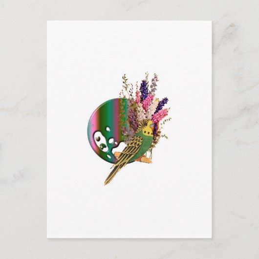 Budgie Briefkaart (Voorkant)
