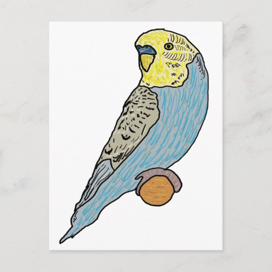 Budgie Briefkaart (Voorkant)