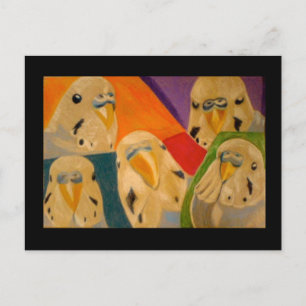 Budgie Budgerigar Briefkaart