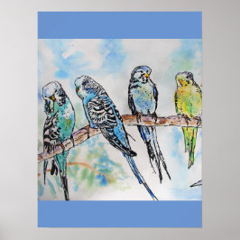Budgie Budgies Waterverf Painting Bird art Poster