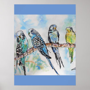 Budgie Budgies Waterverf Painting Bird art Poster