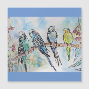 Budgie Budgies Waterverf Painting Bird Card