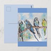 Budgie Budgies Waterverf Painting Bird Card Briefkaart (Voorkant / Achterkant)