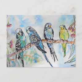 Budgie Budgies Waterverf Painting Bird Card Briefkaart