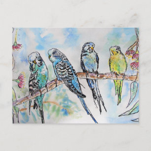 Budgie Budgies Waterverf Painting Bird Card Briefkaart