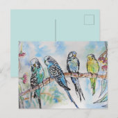 Budgie Budgies Waterverf Painting Bird Card Briefkaart (Voorkant / Achterkant)